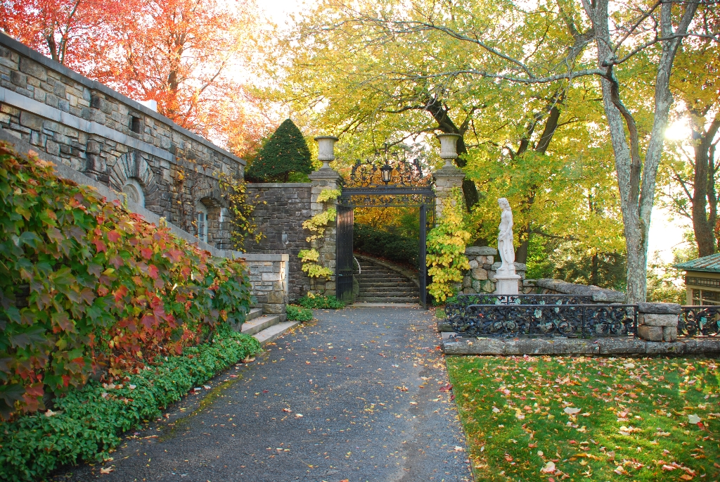 DSC_4195.JPG